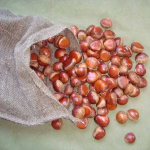 Wholesale China Grade A Fresh Turkish Chestnut