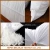 Import Wholesale feather down pillow inserts for high quality best price from China