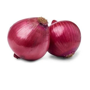 wholesale Fresh Red /whole Yellow onion /shallots