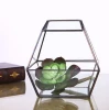 wholesale garden Gold Geometric Terrarium Metal Faceted Tabletop Succulent Plants Holder Glass vase