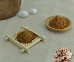 Wholesale Herbal Plant Extract Grifola Frondosa Maitake Mushroom Extract