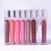 wholesale high quality cosmetic vegan nude custom clear private label lip gloss