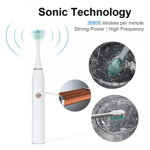 Wholesale Ipx7 Waterproof Travel Electric Sonic Toothbrush with Replaceable Head