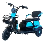 Wholesale Price City Leisure Electric Tricycle for Elderly 800w Small Household 3 Wheel Electric Scooter 60V20Ah Electric Trike