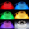 Wholesale Remote Control Neon 220V Outdoor Flexible SMD2835 100m RGB Waterproof Led Strip Led Lighting Led Strip Light