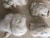 Import wool fiber/wool waste/animal hair from China