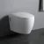 Import WP1002 Factory direct sell washdown wall hung toilet bowl with concealed cistern from China