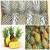 Import Yellow Pineapple fruit in Vietnam with rich nutrition for buyers from Vietnam