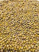 High Quality Green Mung Beans