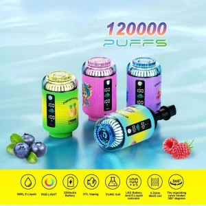 120K Puff E-Cig 50ml E-Liquid 2200mAh Wholesale Disposable Vape Pen Airflow Adjustable Rechargeable E-shisha Head