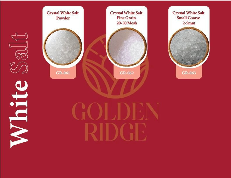 Buy White Rock Salt from Golden Ridge International, Pakistan