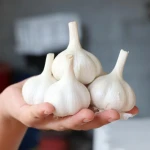 Garlic Fresh 4.5cm/6.0cm 10kg/20kg Box Hot Sale Ajo Chino Chinese Garlic