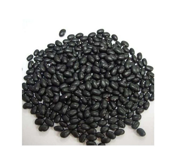 Buy Black Kidney Beans Small Black Beans Best Price And Quality