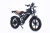 Import 750W Electric Bike with 48V 20Ah Battery, Dual Shock Absorption, and Fat Tires from China