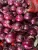 Import Fresh red onions from Pakistan