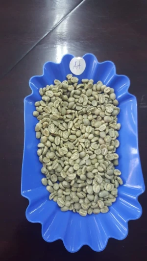 Export quality coffee beans Raw beans from kenya