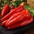 Import Fresh Red Chili Whole Bell Pepper for Wholesalers from South Africa