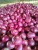 Import Fresh red onions from Pakistan