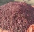 Import Fresh red onions from Pakistan