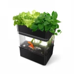 Agricultural Greenhouses Aquaponics Vertical Hydroponic Systems fish aquaponics system fish tanks