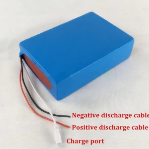 48V 20Ah Lithium Battery Pack With Pvc Case 30A Bms Charger