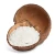 Import Dessicated Coconut High Fat from Indonesia