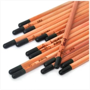 sprout seed plantable pencil
