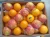 Import Fresh Oranges from Egypt
