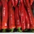 Import Fresh Red Chili Whole Bell Pepper for Wholesalers from South Africa