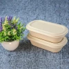 Compostable disposable primary color salad box