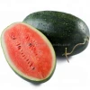 High yield and resistance hybrid watermelon seeds﻿