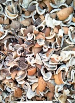 Copra ( Natural Sundried Coconut Meat )