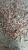 Import fresh wild turmeric from Indonesia
