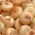 Import Top grade Cipollini Onions for food use from South Africa
