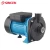 Import 0.5hp 1inch Single-stage Electric Motor Pump,Water Supply Pump With PPO Impeller from China