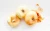 Import Top grade Cipollini Onions for food use from South Africa