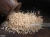 Import Rice - Basmati & Non Basmati from India