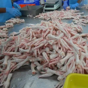 SIF Approved Grade A Frozen Chicken Feet Export to China Vietnam Japan Thailand
