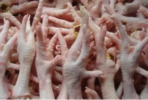 Cheap Frozen Chicken Feet and Paws Ready for Export