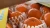 Import PERSIMMONS FUYU from Brazil
