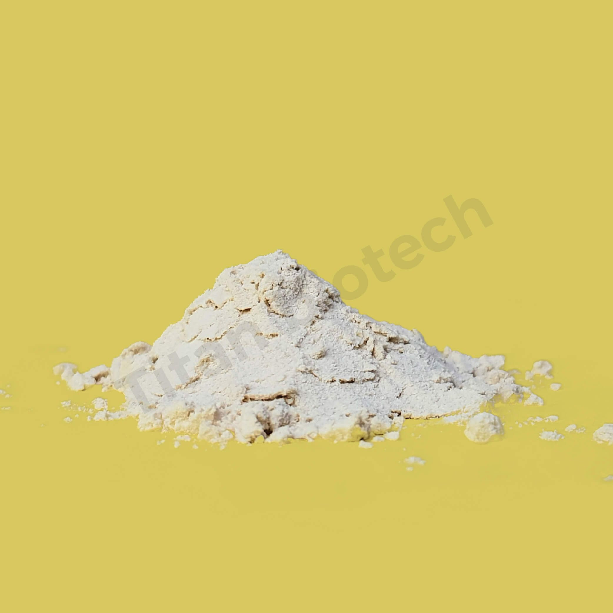 Buy Pea Protein Isolate 80 from Titan Biotech Limited, India