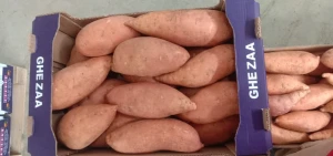 Sweet Potatoes