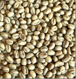 Robusta coffee beans green