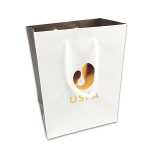 High Quantity Shopping Paper Bag for Clothing Custom Design Printing High End Paper Bag