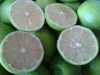 Fresh Lemon - Adalia Lemon