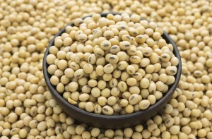 SOYBEANS SEEDS FOR HUMAN CONSUMPTION