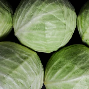 whole white Cabbage