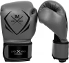 Manufacturers of Boxing Gloves