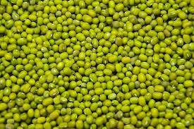 100% Green Mung Beans / Green Gram / Vigna radiata
