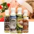 Import 100% Pure Carrier Oil Avocado Oil Sweet Almond Oil Pressed For Skin Hair Massage Care from China